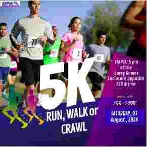 DPA Foundation 5k